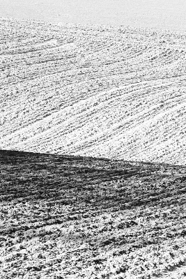 Field 2 B&W, par Xavier E. G. Dierick